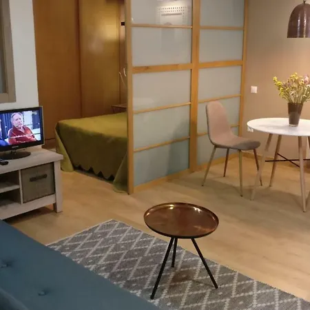 Coqueto Centro Con Wifi Apartment
