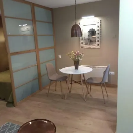 Apartment Coqueto Centro Con Wifi